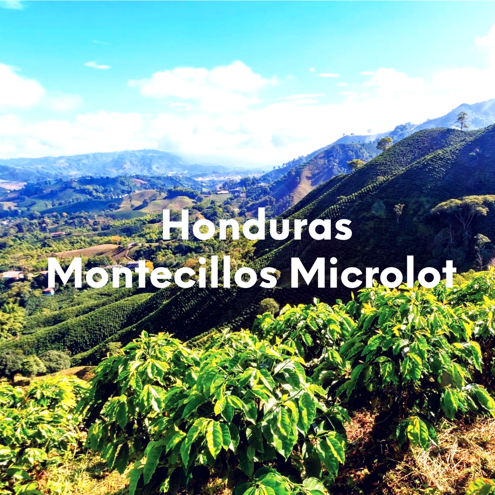 Honduras - Montecillos Microlot
