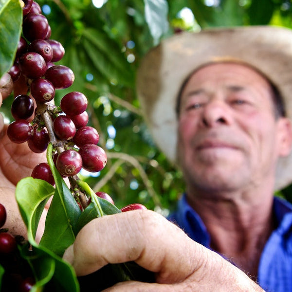 Costa Rica - La Lapa