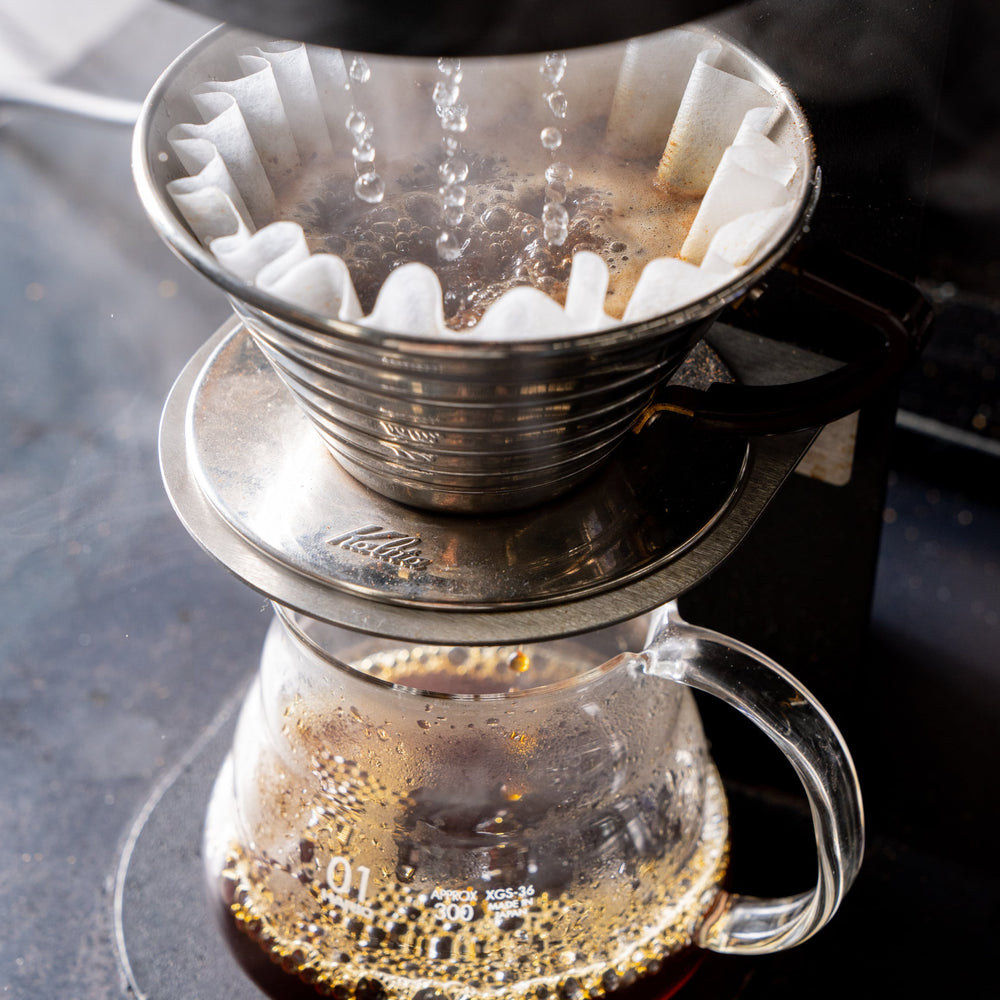 Brazil - Mundo Novo - Filter Roast