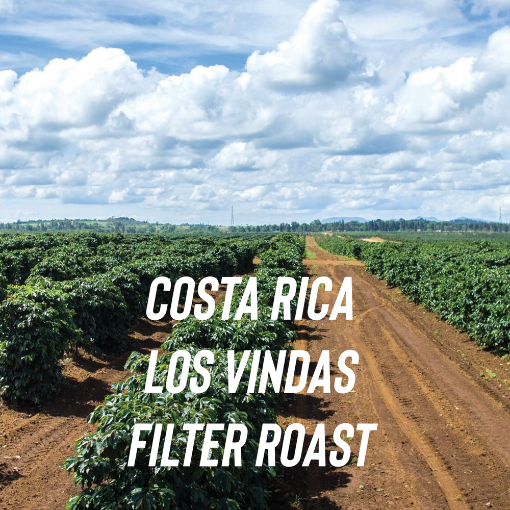 Copy of Costa Rica - Los Vindas – Filter Roast