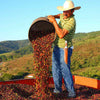 Brazil - Monte Alegre