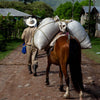 Honduras - High Grown - European Process