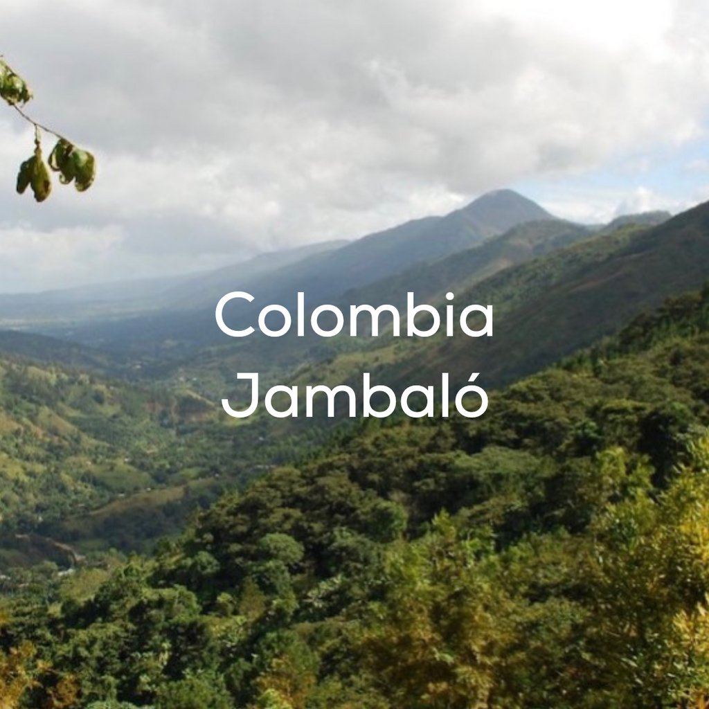 Colombia - Jambaló - Filter Roast