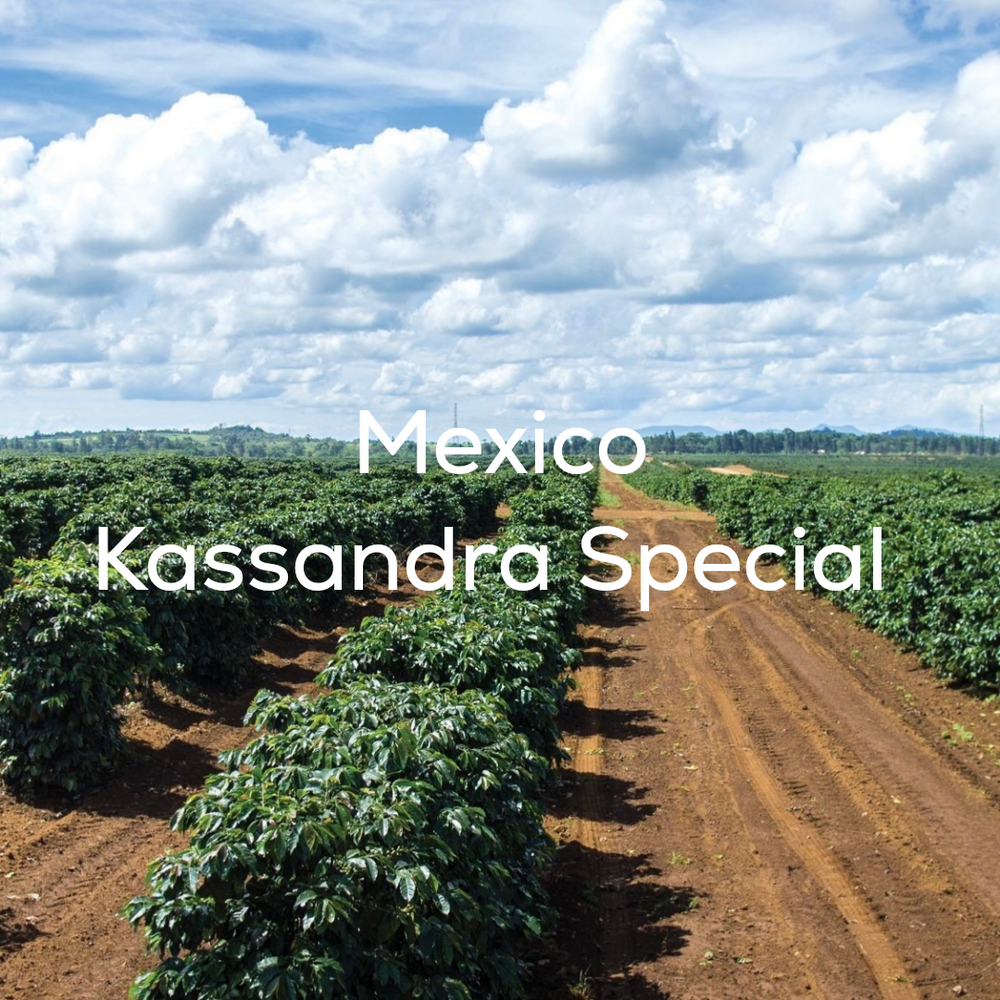 Mexico - Kassandra Special