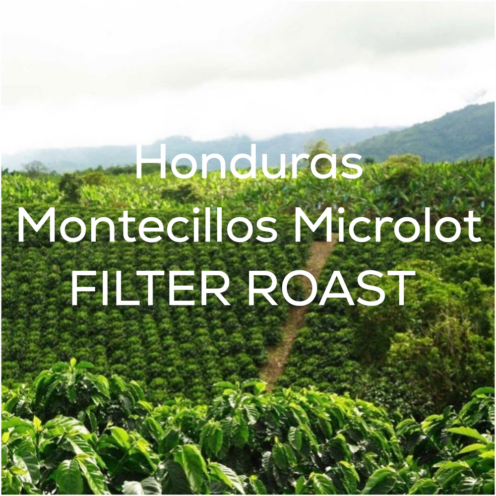 Honduras - Montecillos Microlot (Filter Roast)